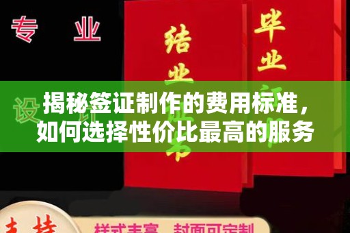 永定揭秘签证制作的费用标准，如何选择性价比最高的服务？